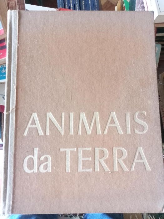 Animais da Terra