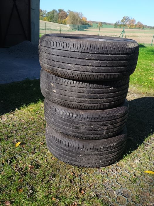 Opony letnie Waterfall Eco Dynamic 195/55 R15