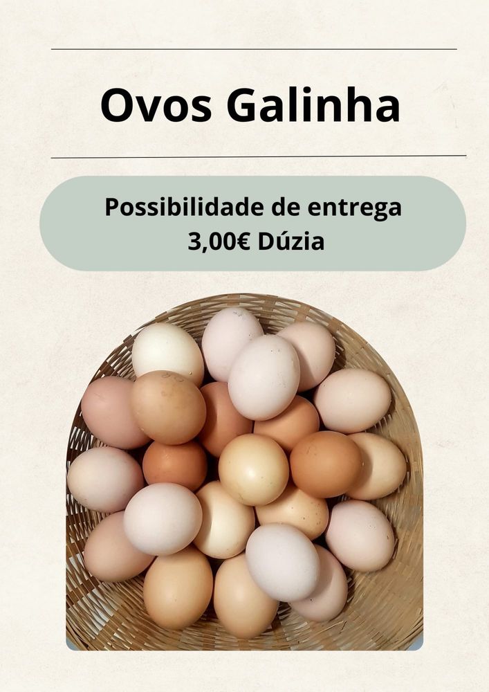 Ovos de galinha caipira