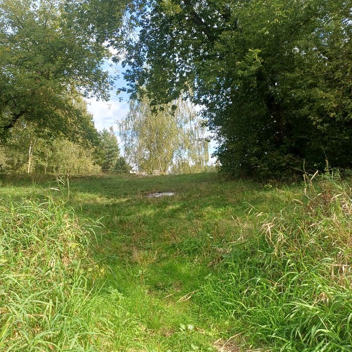 Działka nad Narwią