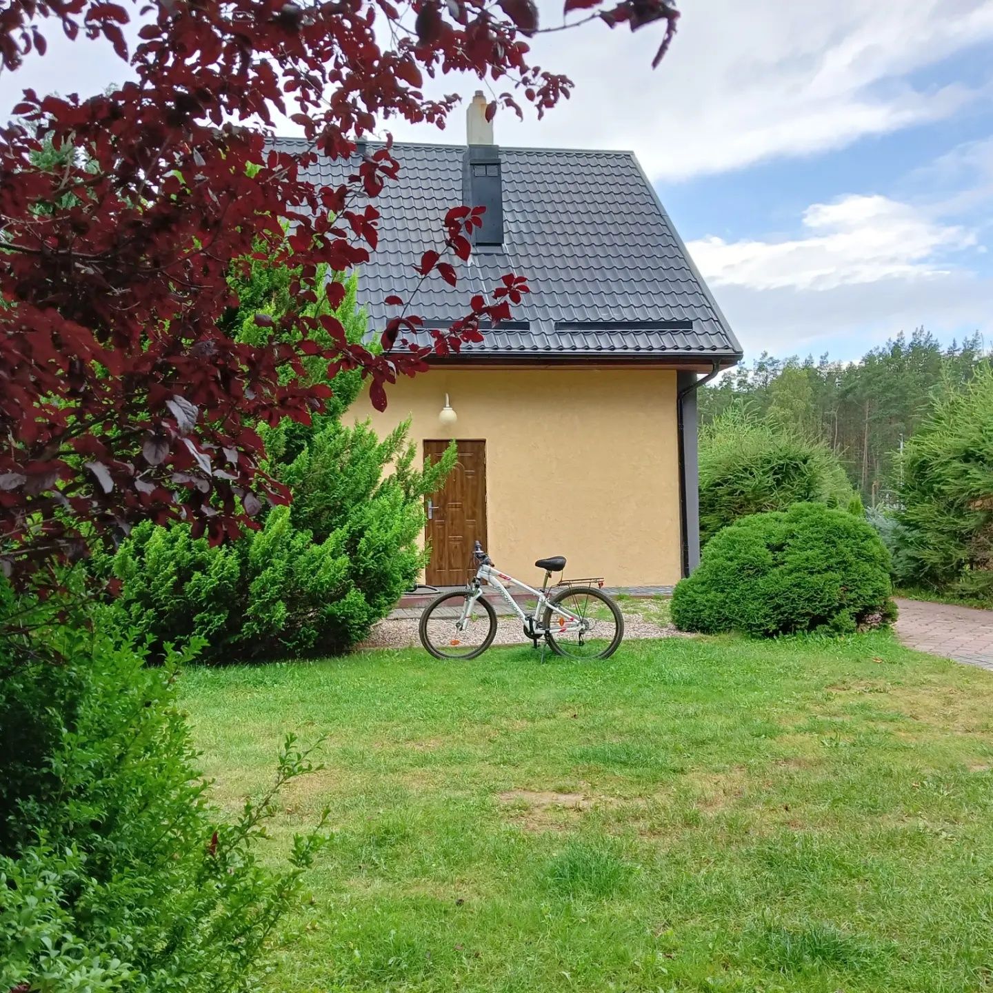 Domek z balią jacuzzi na wyłączność , jezioro, las. Kaszuby