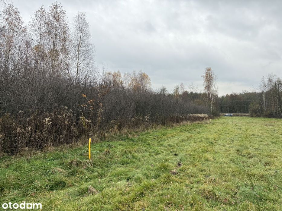 Działki (1351m2, 890m2, 887m2) Jasień ul. Jagodowa z wydanymi WZ