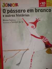 O Pássaro em Branco e Outras Histórias - Bruno Santos