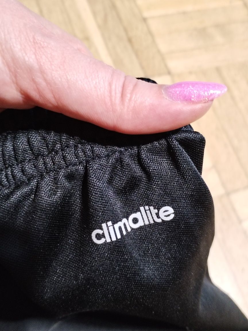 Krótkie spodenki Adidas