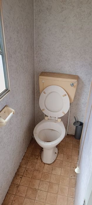 Sprzedam  holenderkę