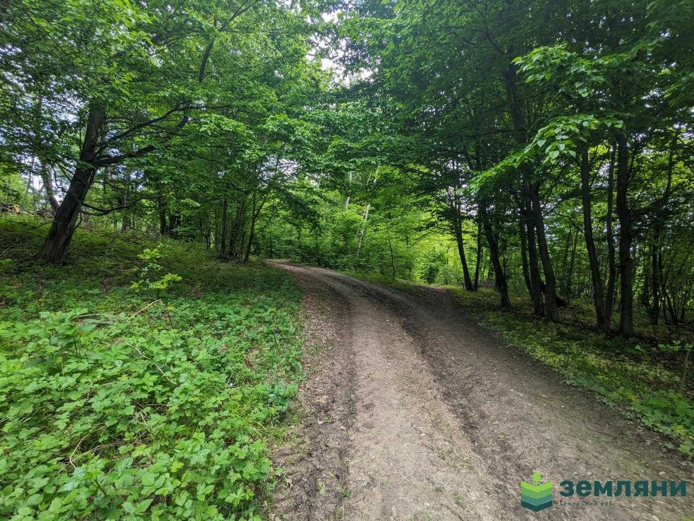 Продається ділянка у Височанці