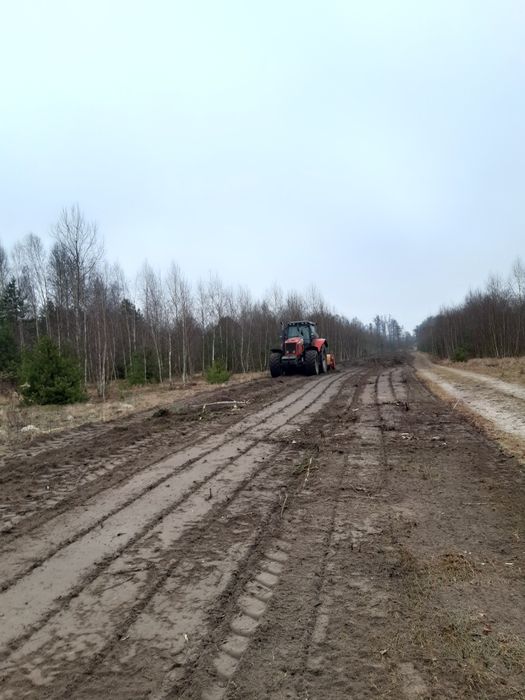 Czyszczenie dzialek mulczowanie wycinka drzew