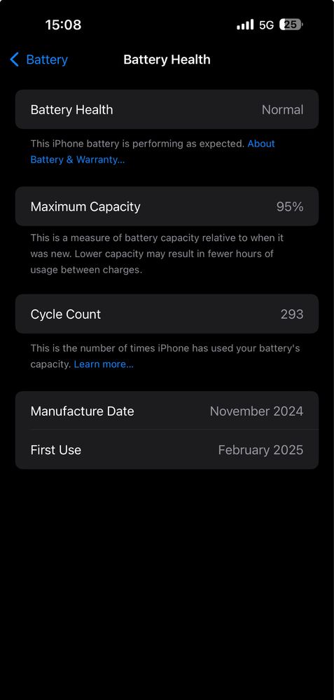 16 PRO MAX 256GB