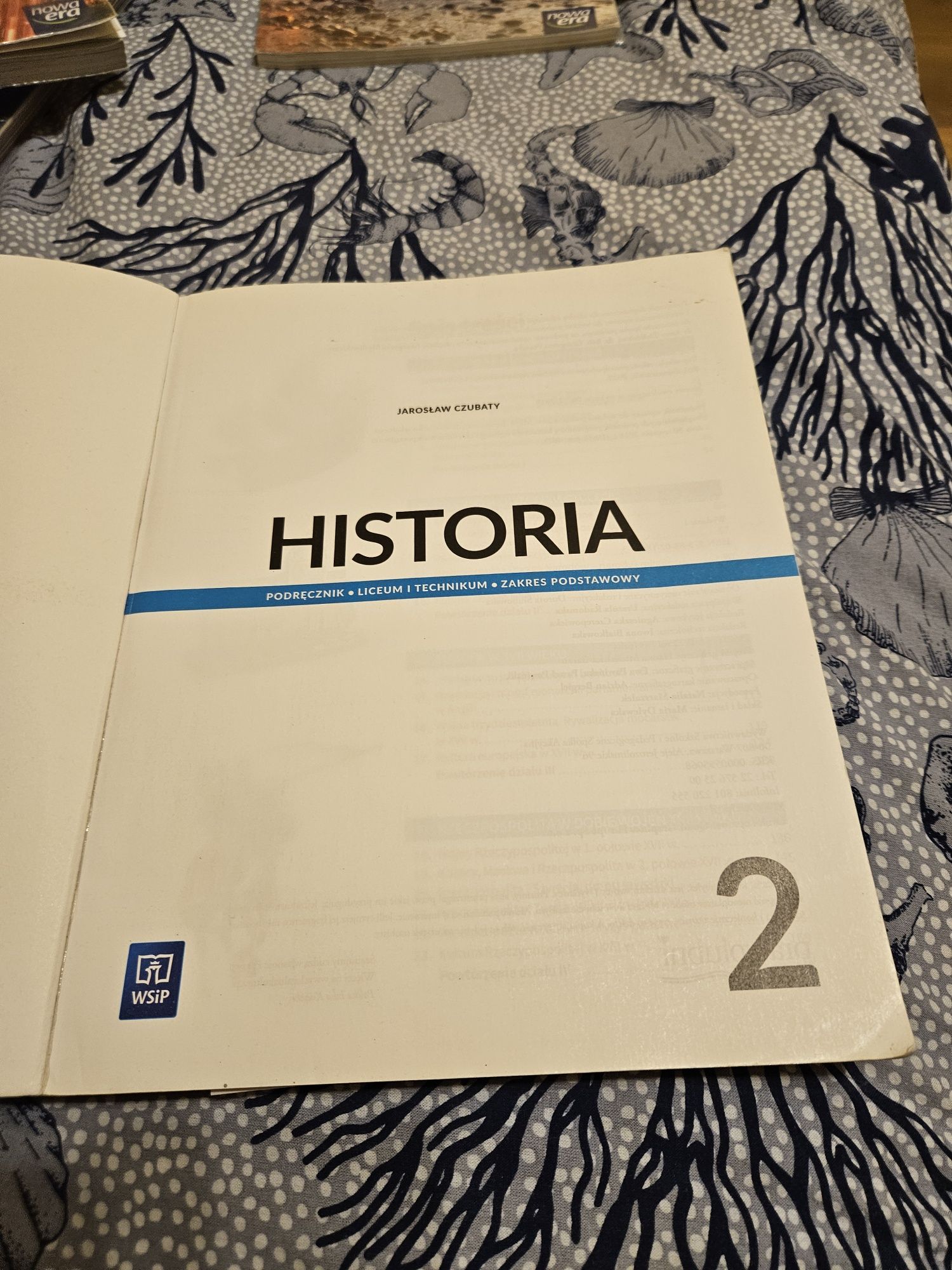 Historia  2 WSiP
