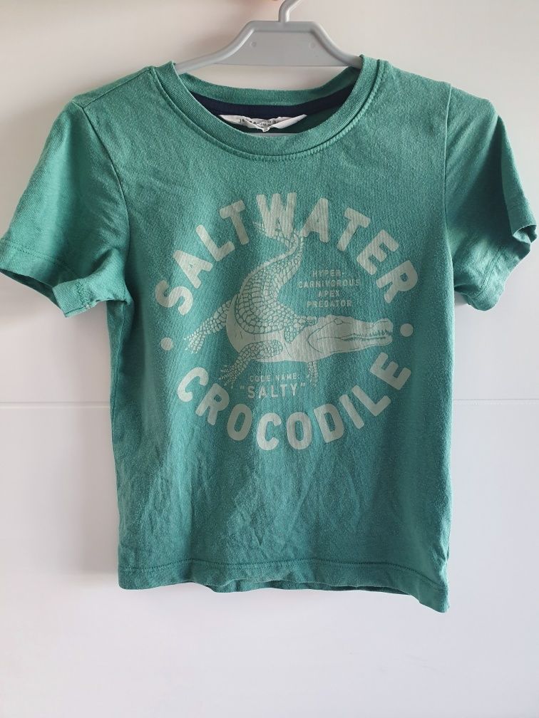 tshirt h&m krokodyl koszulka bluzka z krótkim rękawem