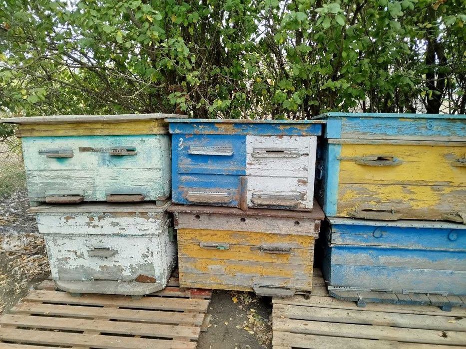 Продам улья. 25 + шт.
