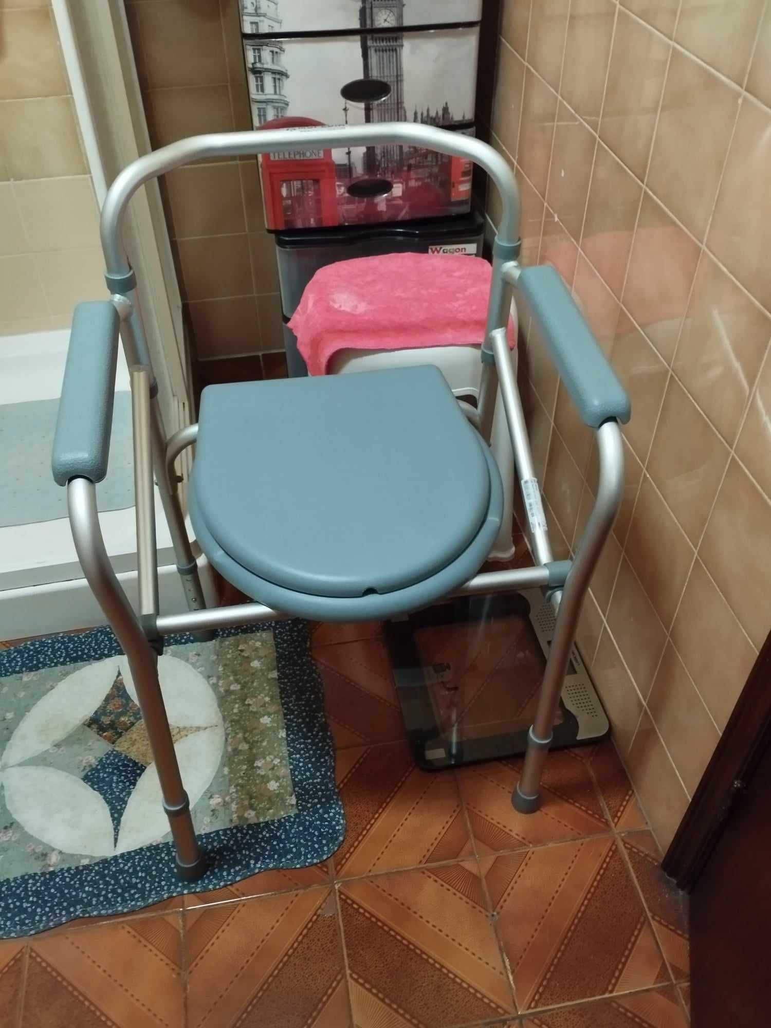 Cadeira sanitária