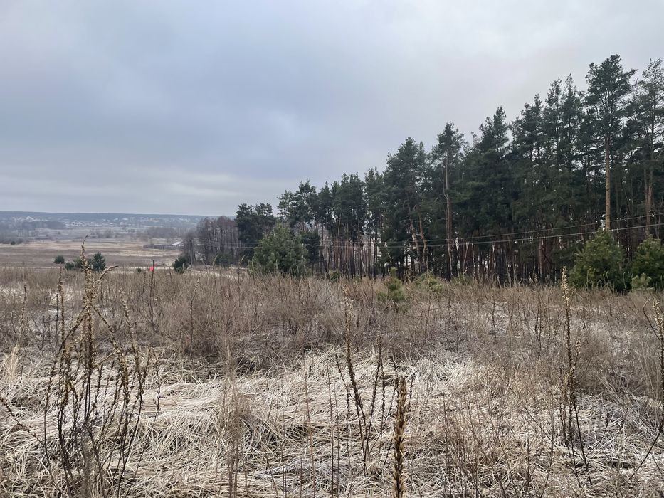 Ділянка біля лісу 10 соток