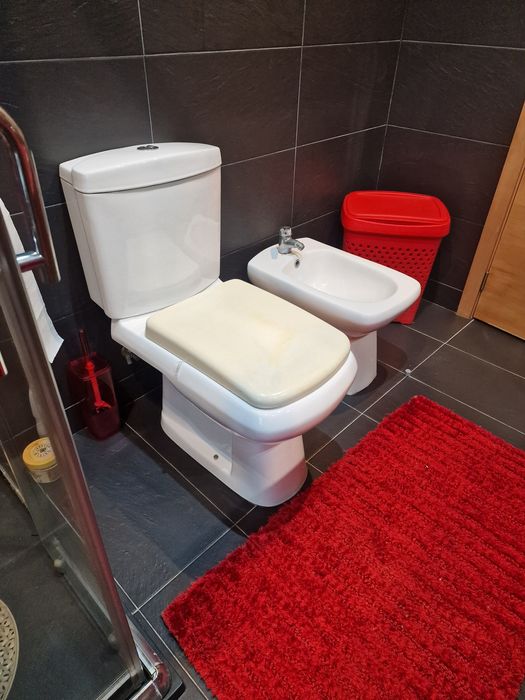 Sanita e bidé  em bom estado o tampo é que tem que ser substituído