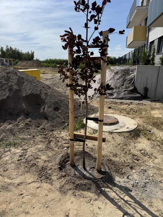 Pielęgnacja ogrodu/zakładanie