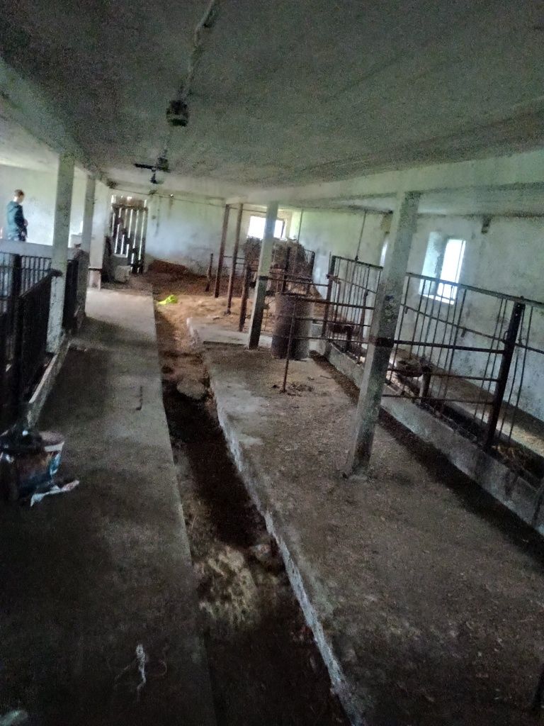 Działka rolna wraz z domem i oborą