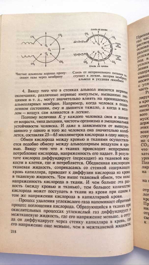 книга Малахов биосинтез и биоэнергетика т2