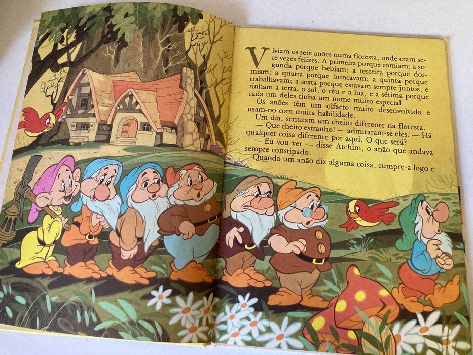 Livro - Os Sete Anões e o Gigante Marbone (ctt editorial grátis)