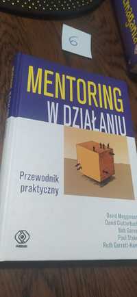 Mentoring w Działaniu David Megginson