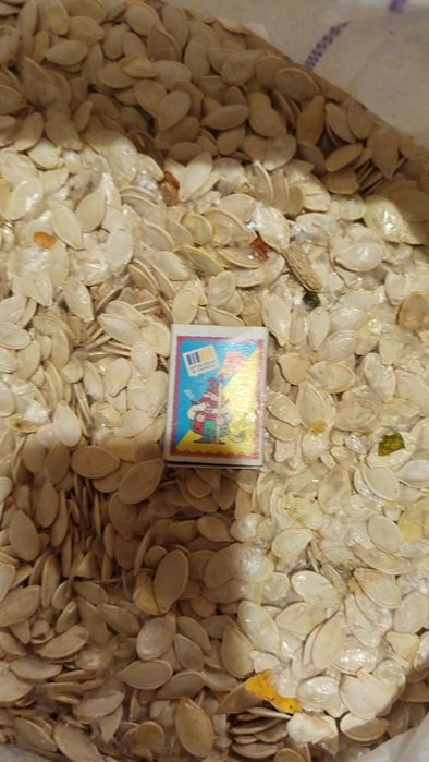 Гарбузове насіння