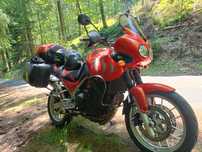 Triumph Tiger 955i