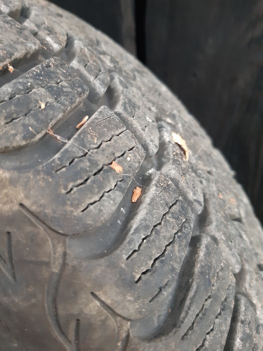 Opony zimowe 195/65/15