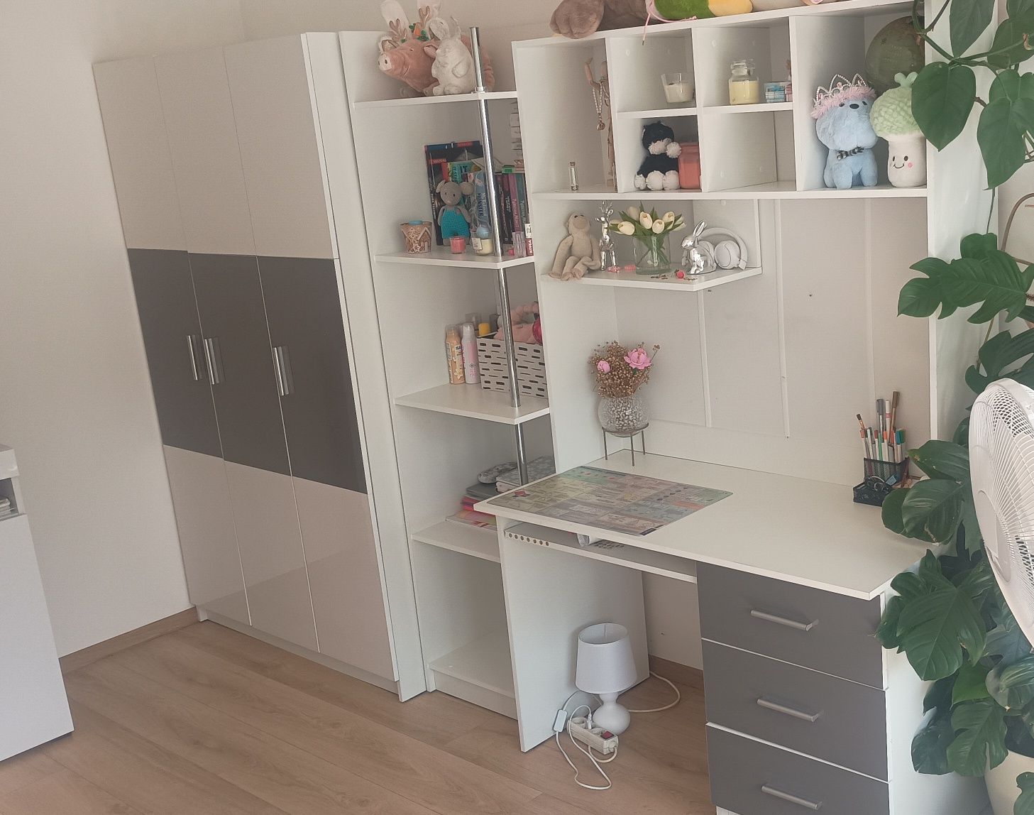 meble młodzieżowe Raj 3a z biurkiem z nadstawką i dużą szafą -