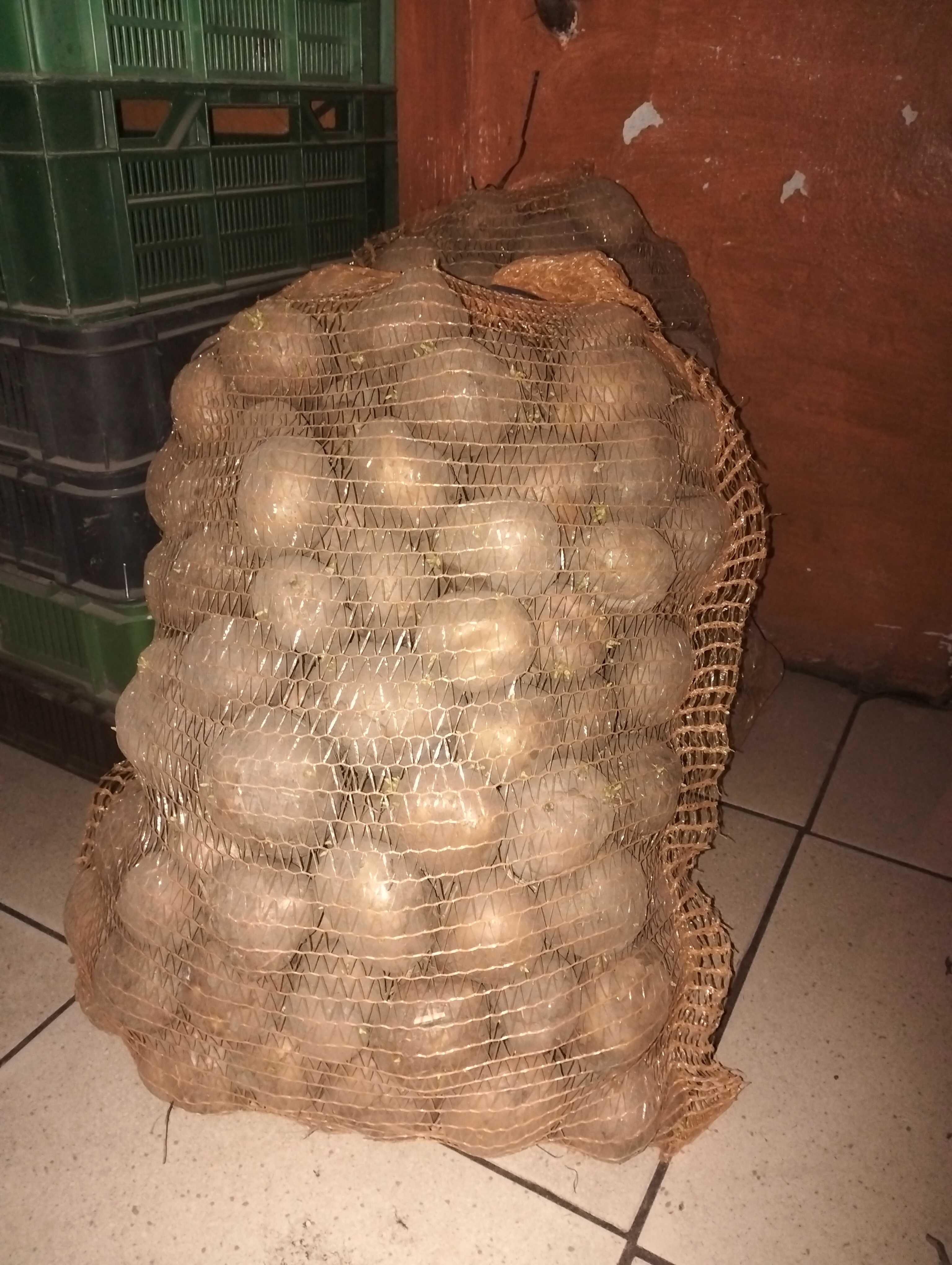 Sprzedam ziemniaki
