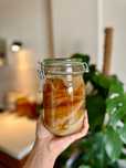 Kombucha starter grzybek herbaciany scoby