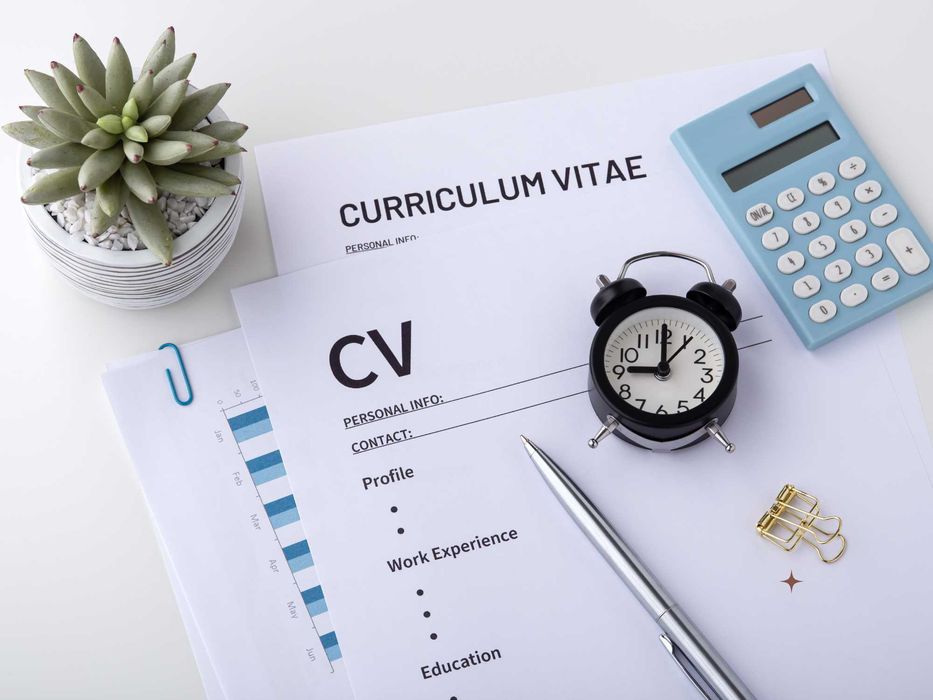 Poprawię Twoje CV / napiszę profesjonalne CV od podstaw