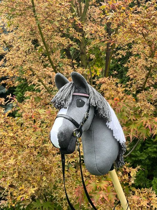 Hobby horse Rozmiar A4