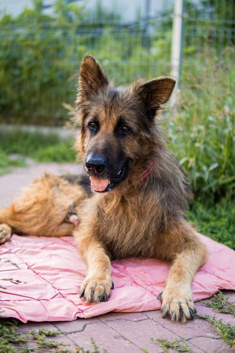 Laki wyrwany z piekła chce uwierzyć że może być dobrze