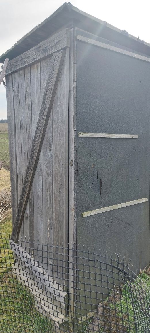 Toaleta budowlana, toitoi, wc