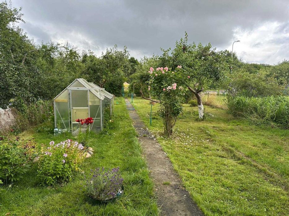 Działka ROD Kwitnących Jabłoni. Jedyna taka 450m2.