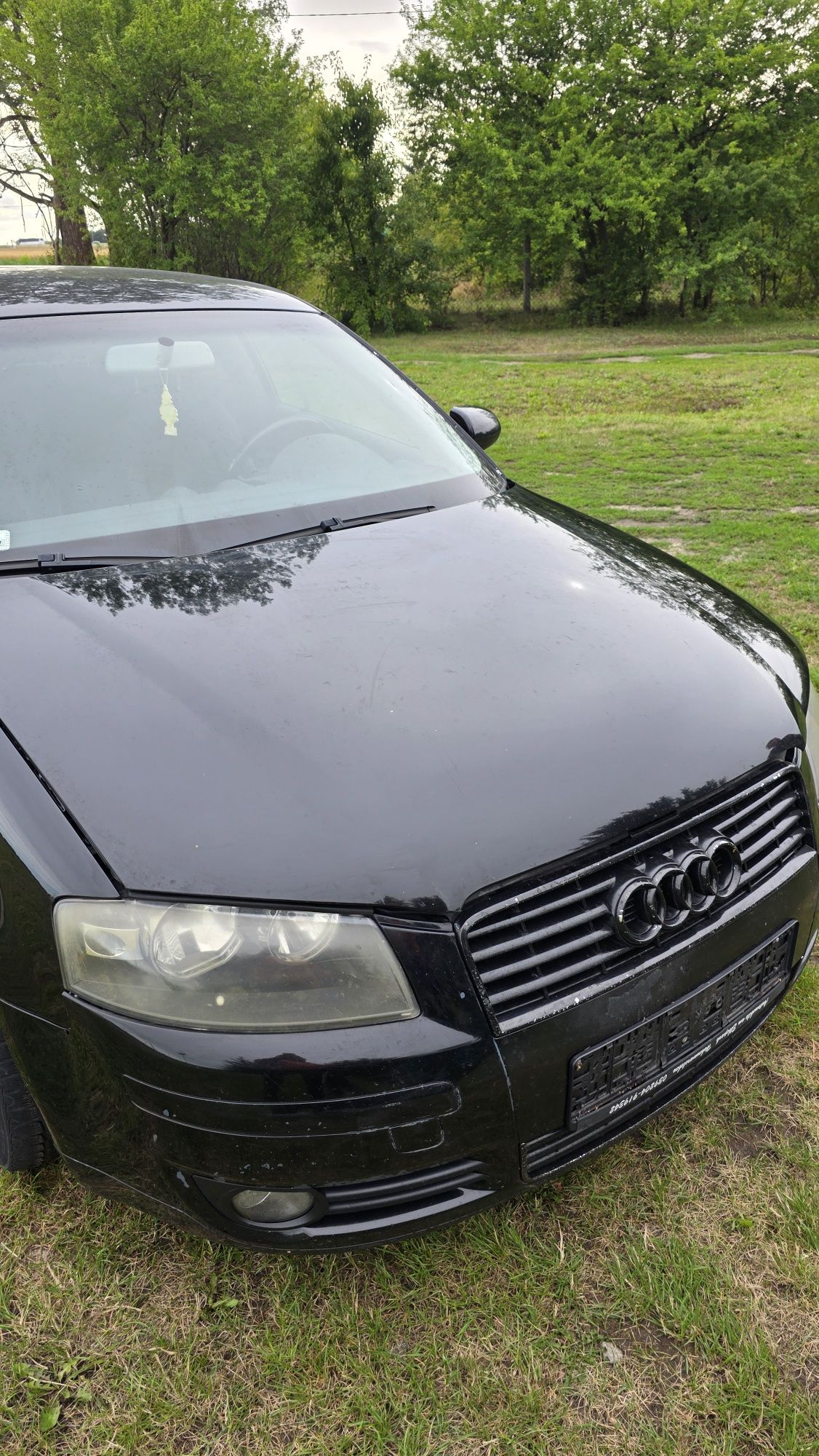 Maska Przód Audi A3 8P 2003r LY9B