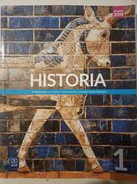 Historia 1 liceum