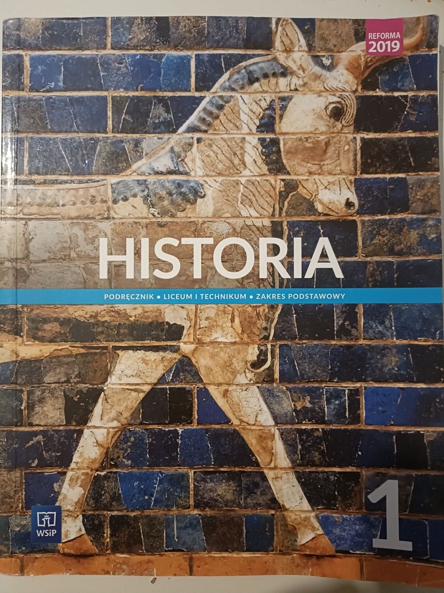 Historia 1 liceum