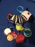 Zebra sensoryczna