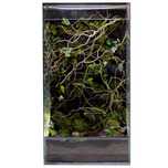 Terrarium tropikalne 40x40x60