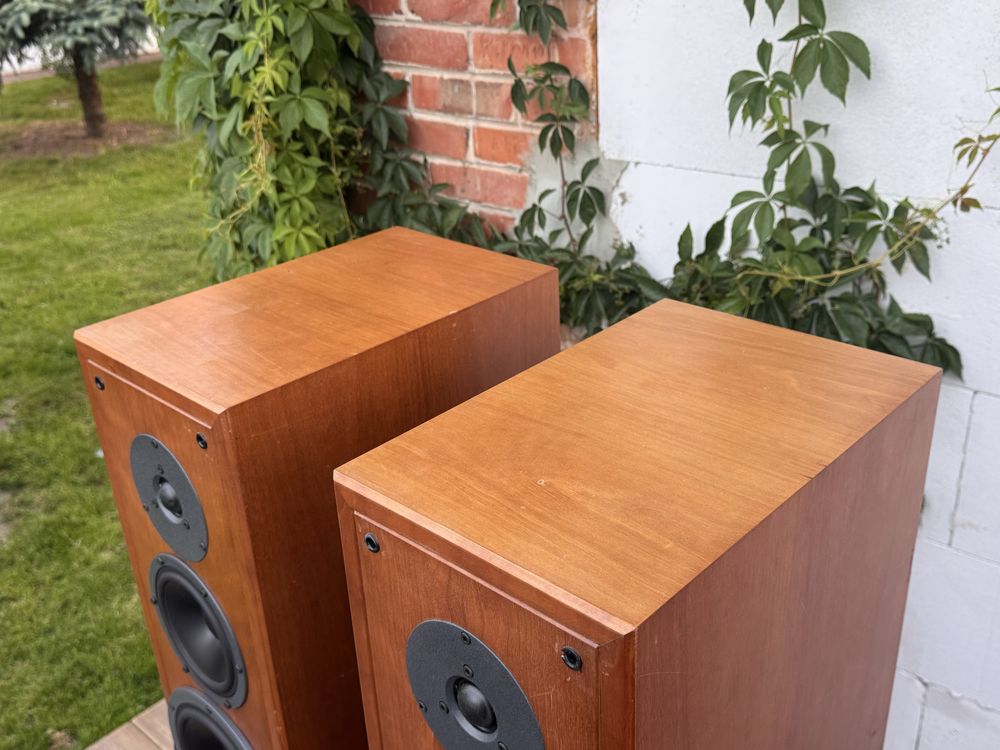 Dynaudio Contour 3.0 kolumny podlogowe