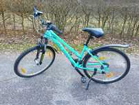 Rower Alpina rozmiar S
