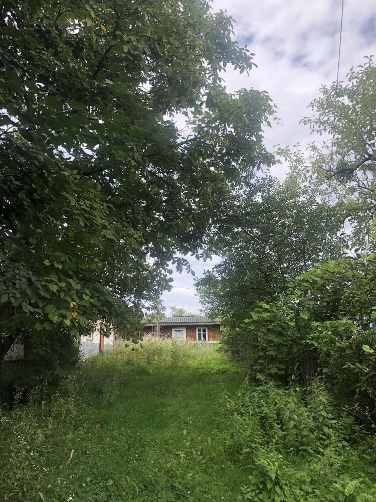 Продається господарство в селі Замостя