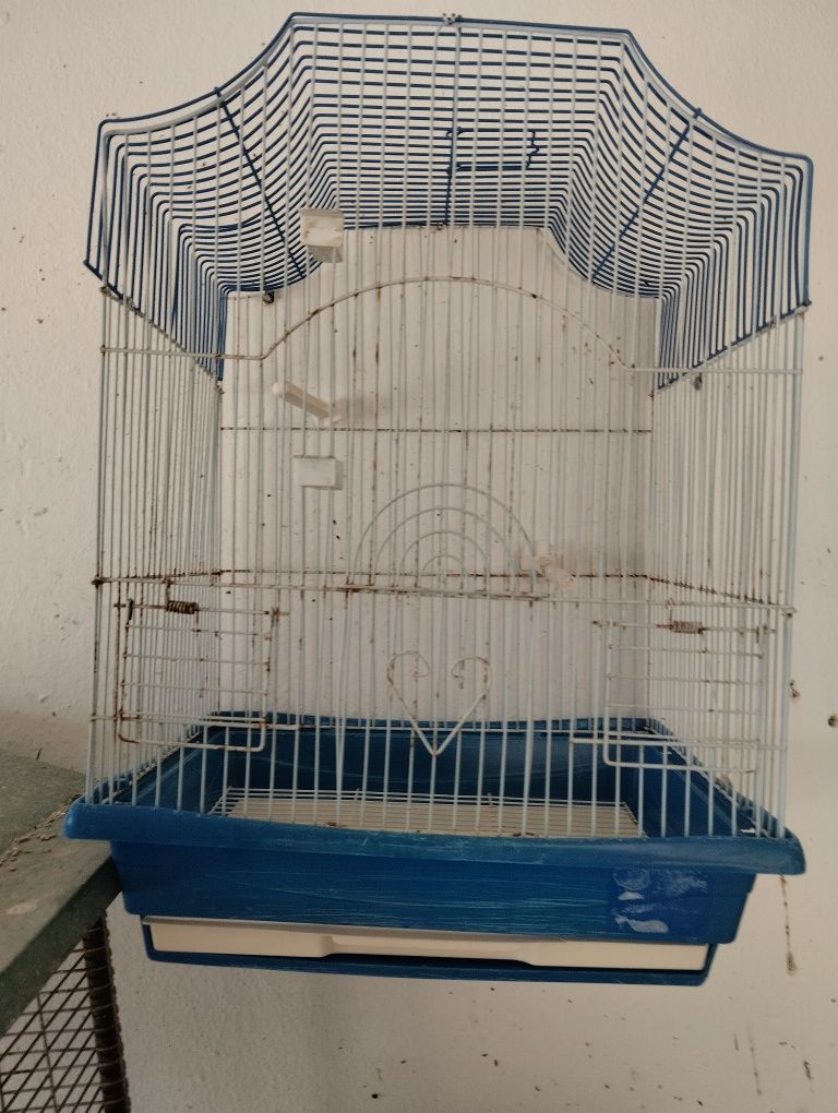 jaulas individuais + canário(Monte Gordo)
