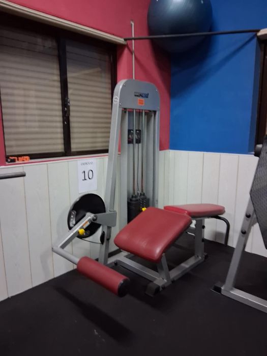 Prensa e maquina flexora