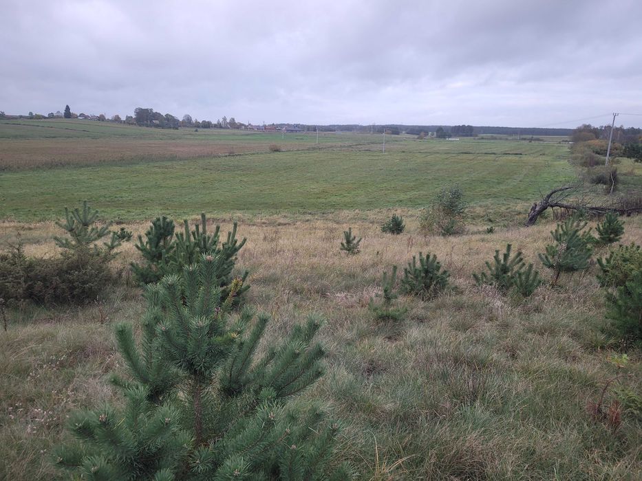 Ziemi rolna na Mazurach Szuć 3.7ha