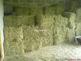 Сіно та солома в тюках