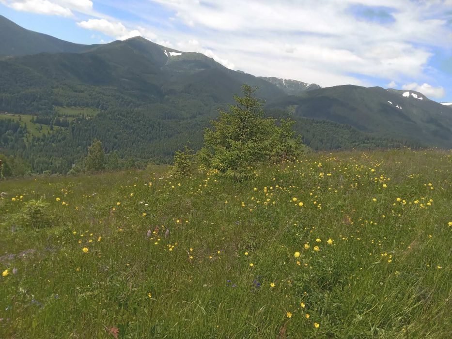 Продаж земельної ділянки