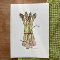 Obraz akwarelowy asparagus szparagi