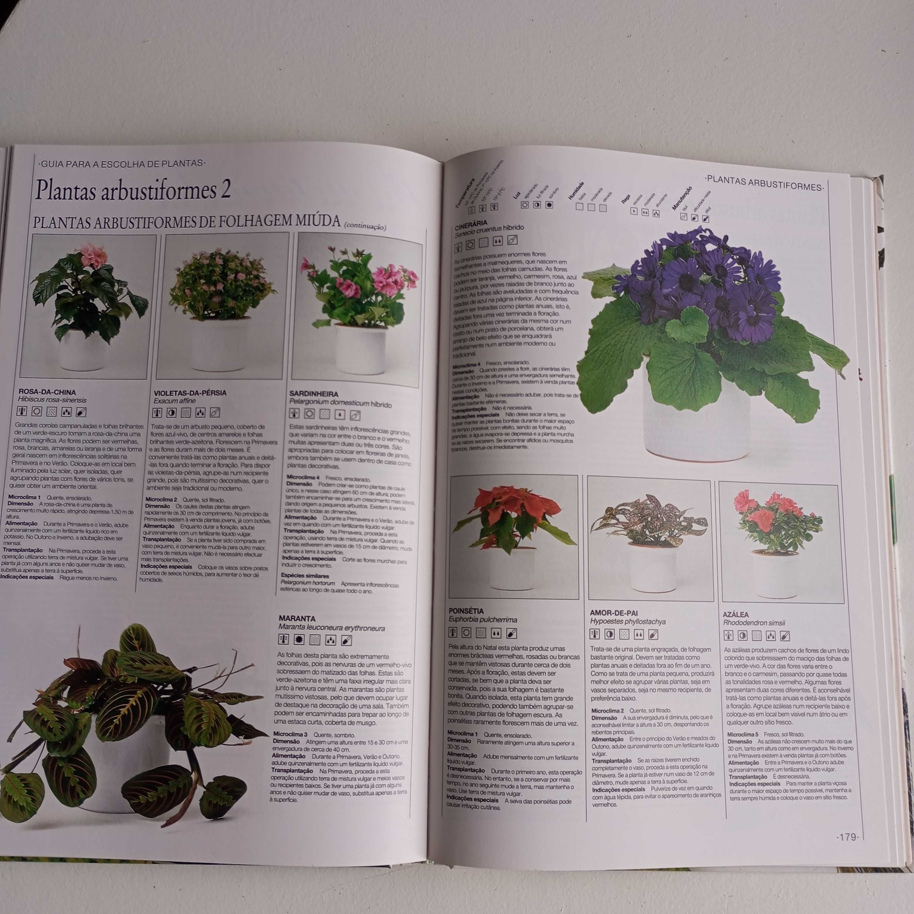 Livro O Jardim em Casa - Plantas de Interior