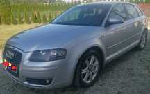 Audi A3 LPG STAG, Audi A3 p8, 1.6 MPI (102 KM) benzyna +LPG, 5 drzwiowe